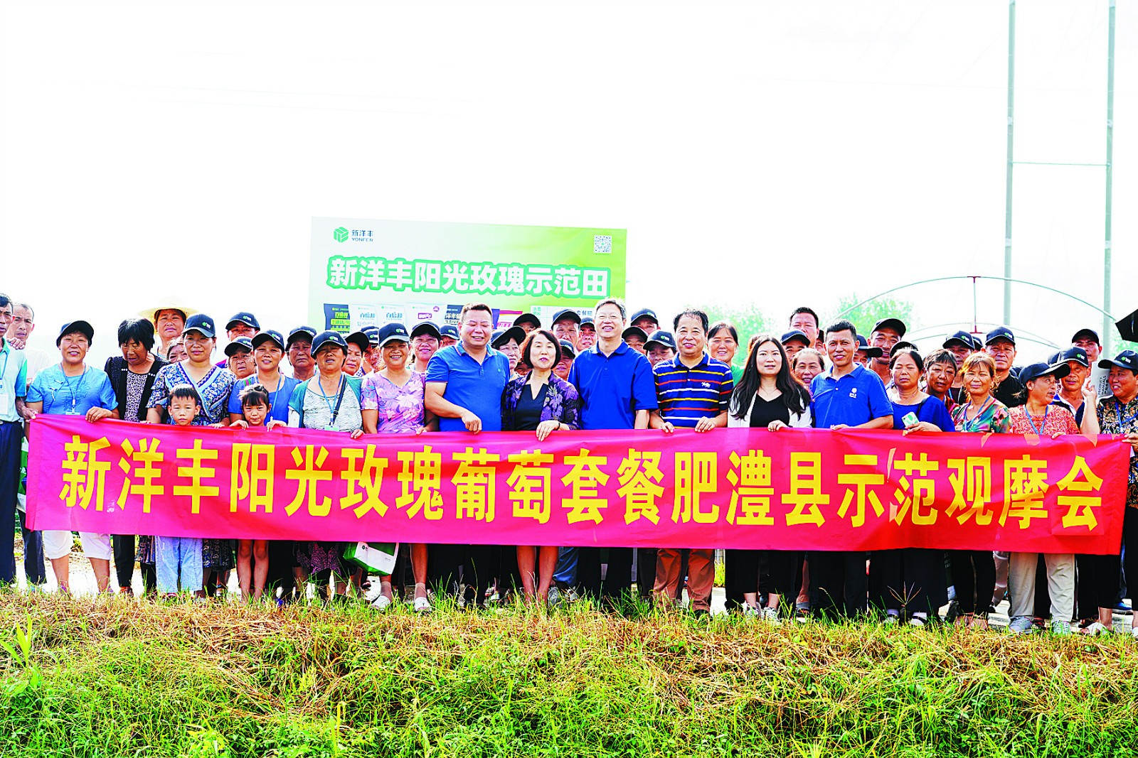 太阳成tyc122cc阳光葡萄套餐肥澧县示范观摩_meitu_2.jpg