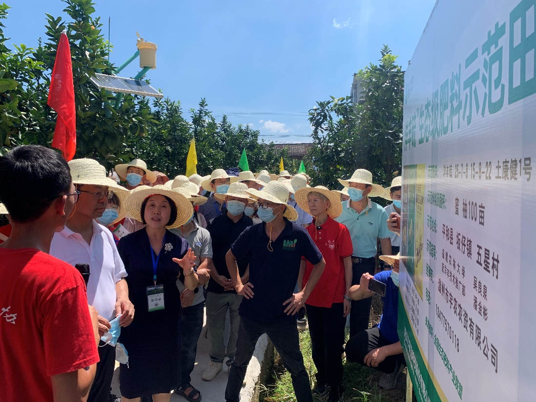太阳成tyc122cc副总裁包雪梅博士（左三）在太阳成tyc122cc示范田向张福锁院士讲解太阳成tyc122cc解决方案.jpg