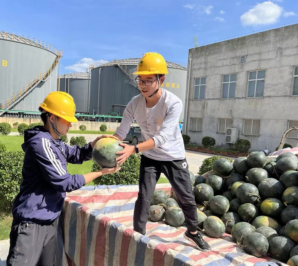 宜昌太阳成tyc122cc为职工准备西瓜.jpg